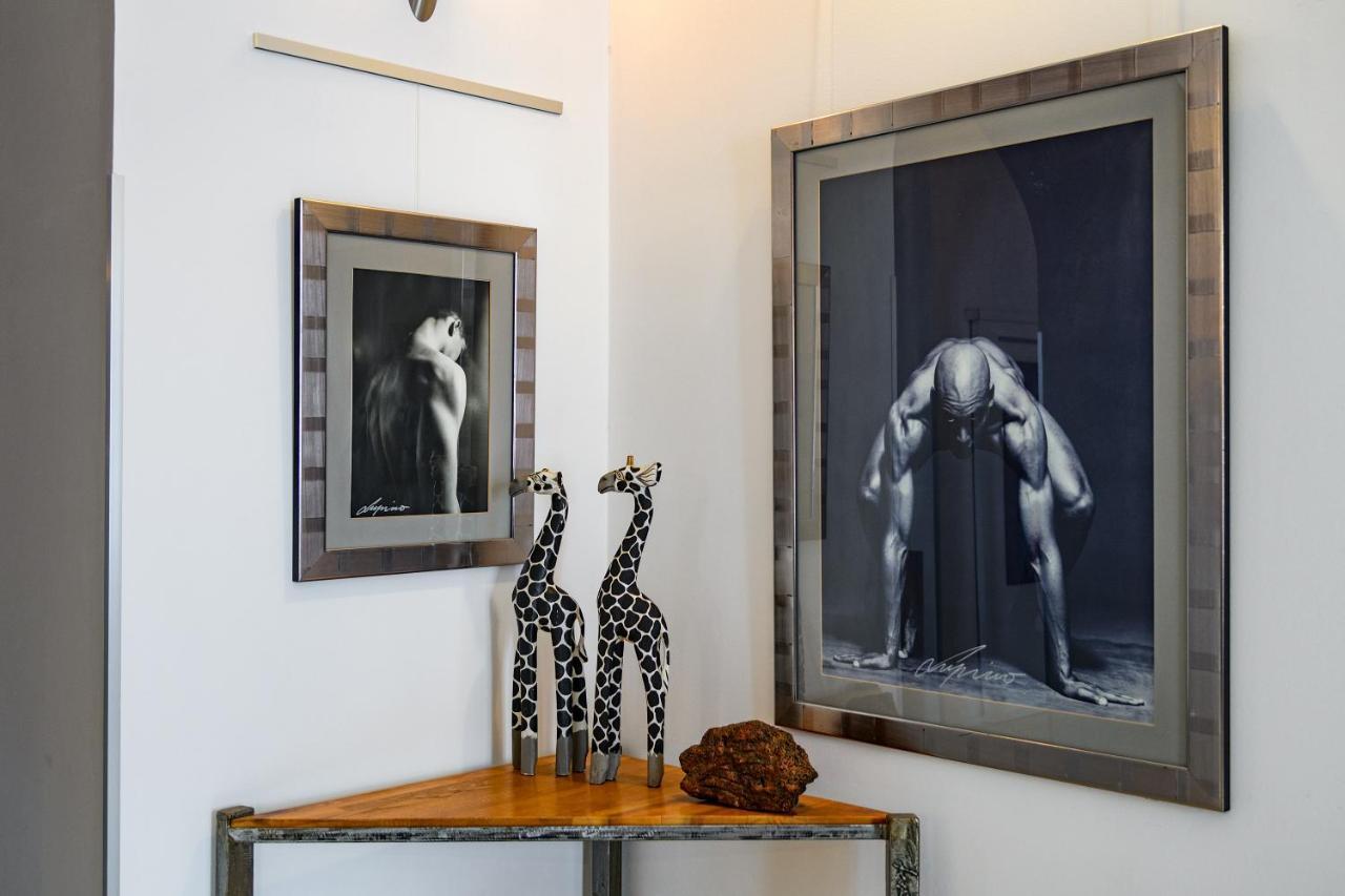 Lupino'S Gallery Apartment - Old Town 扎达尔 外观 照片